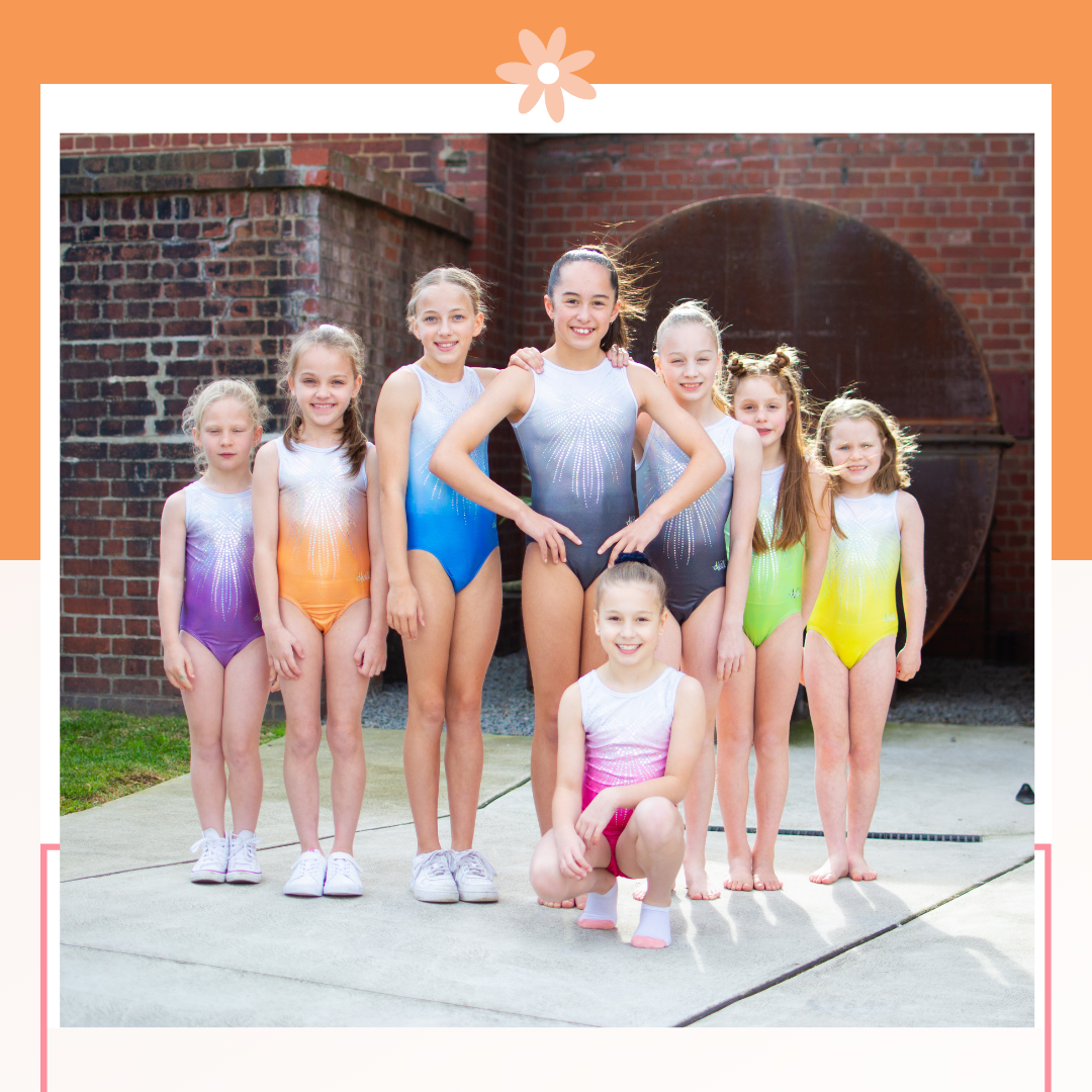 Ombre Dreams Leotard
