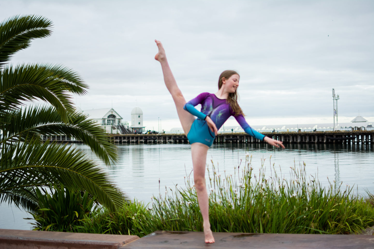 Carnival Leotards